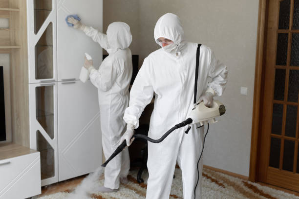 Professional Mold Remediation in North Lakeville, MA